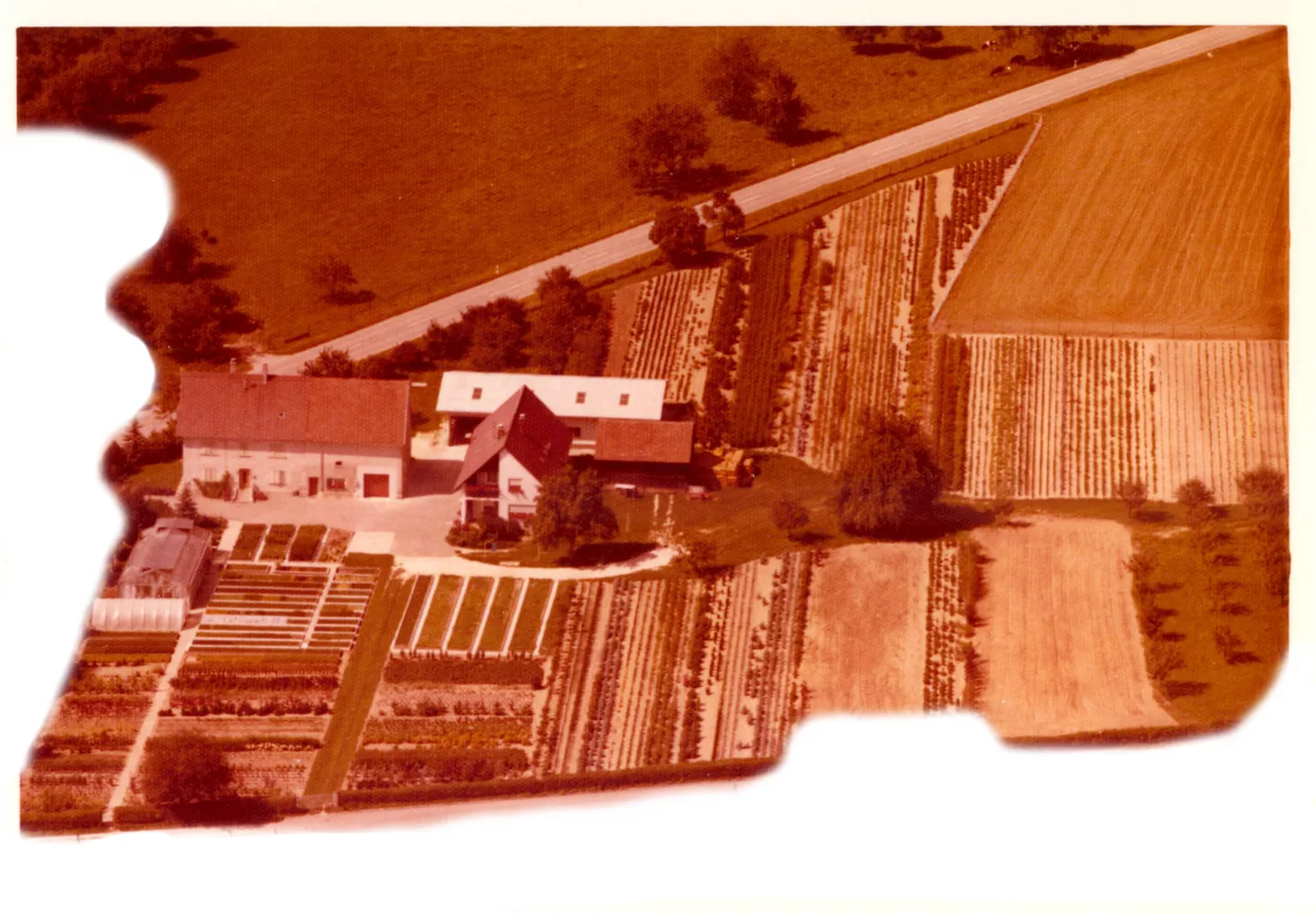 1986_Alt.jpg 1986_Alt.jpg