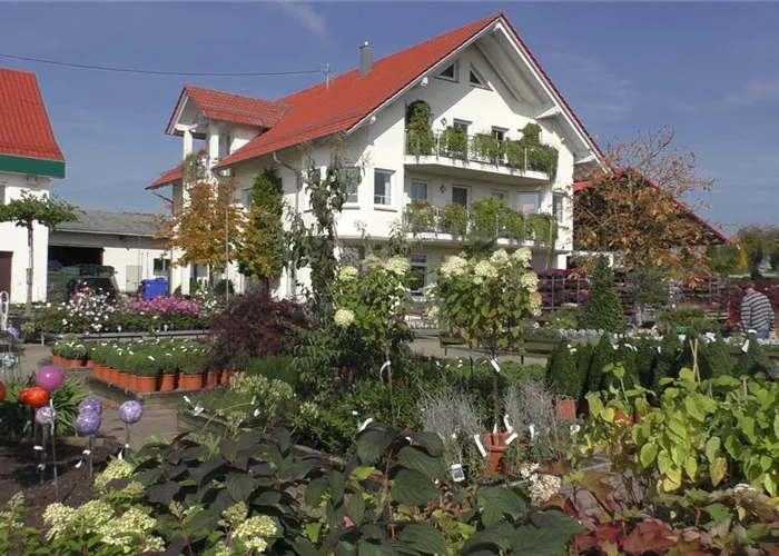 Ausbildung Ausbildung