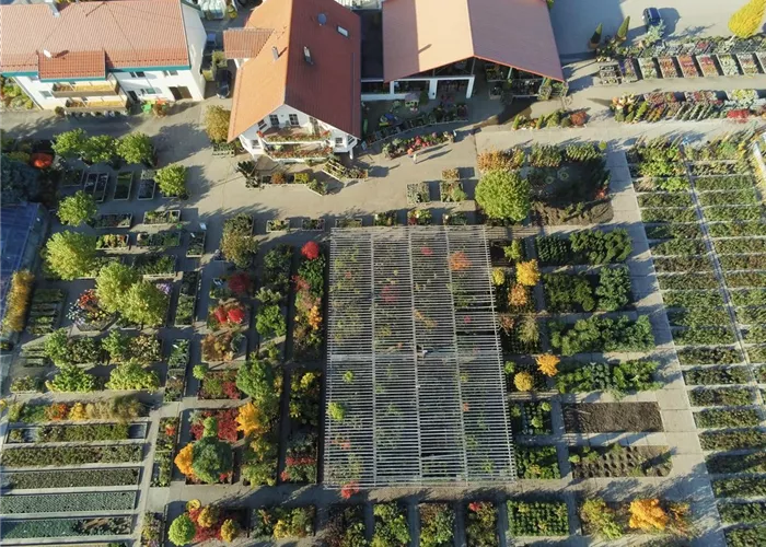 Firmengeschichte Firmengeschichte