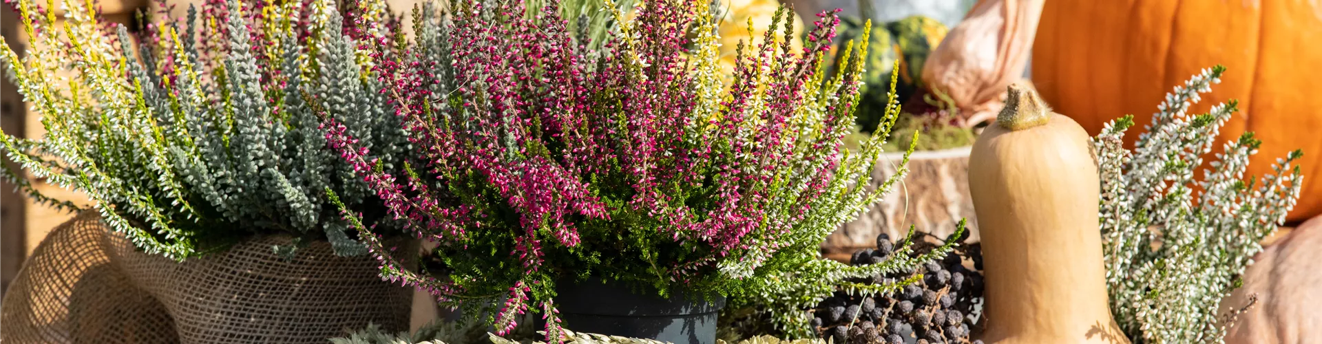 Herbstliches Ambiente Herbstliches Ambiente