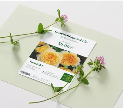 Individueller Gutschein Individueller Gutschein