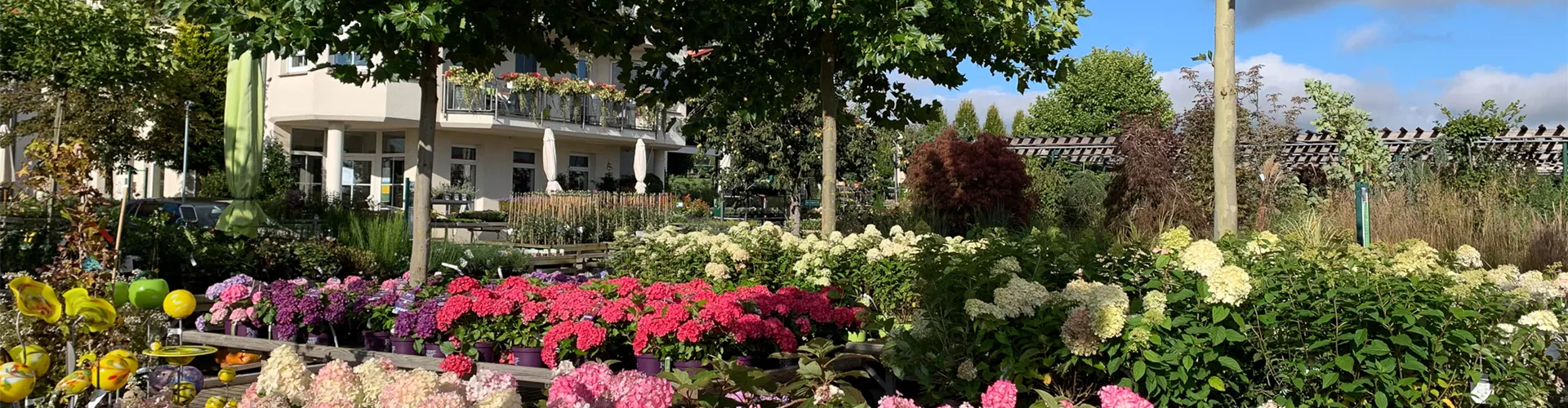 Oktober_2020-01 Oktober_2020-01