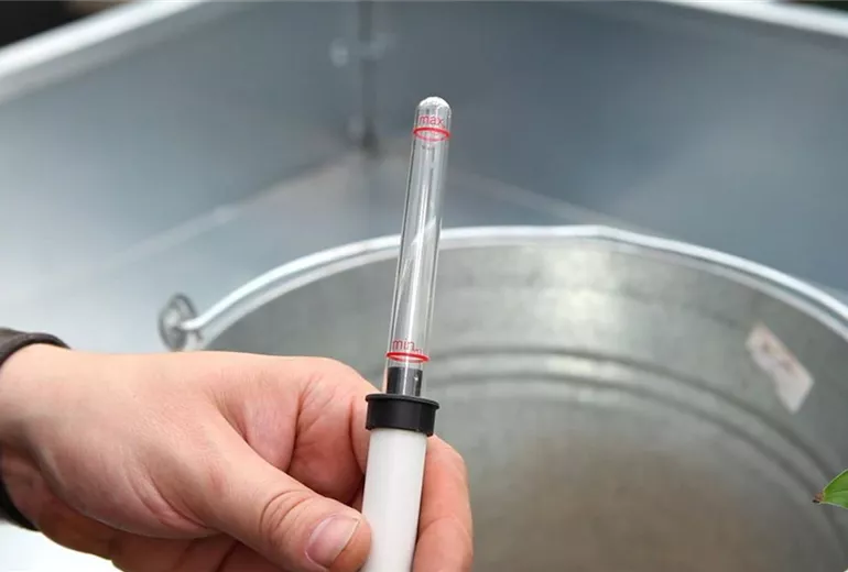 Einblatt - Einpflanzen in ein Gefäß (5)