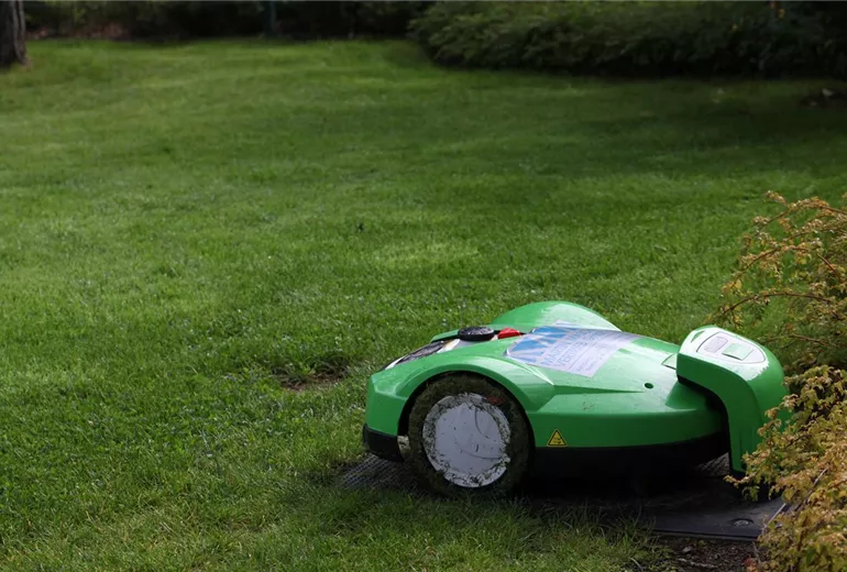 Rasenmäher
