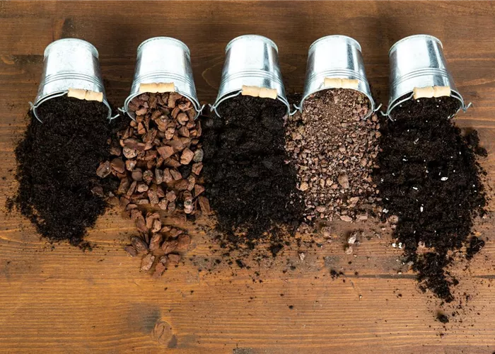 Die passende Erde für die Lieblingspflanzen in Haus und Garten