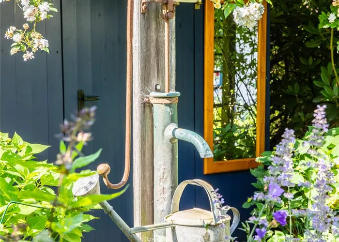 So einfach kann die Gartengestaltung mit Gartenpflanzen sein So einfach kann die Gartengestaltung mit Gartenpflanzen sein