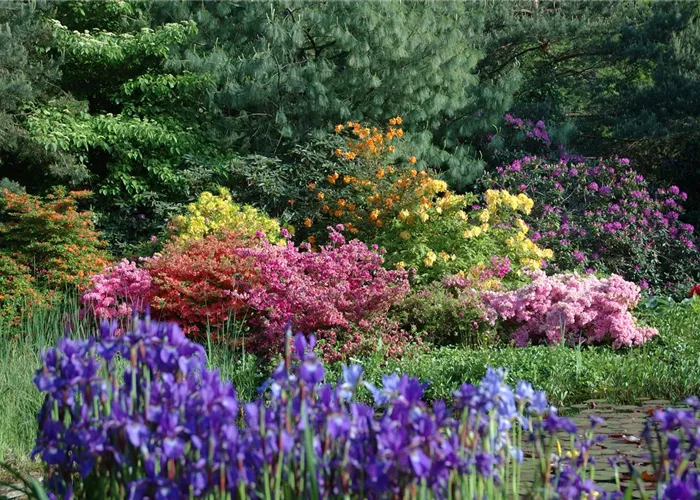 Sträucher ohne Ende – Ziersträucher vermehren leicht gemacht Sträucher ohne Ende – Ziersträucher vermehren leicht gemacht