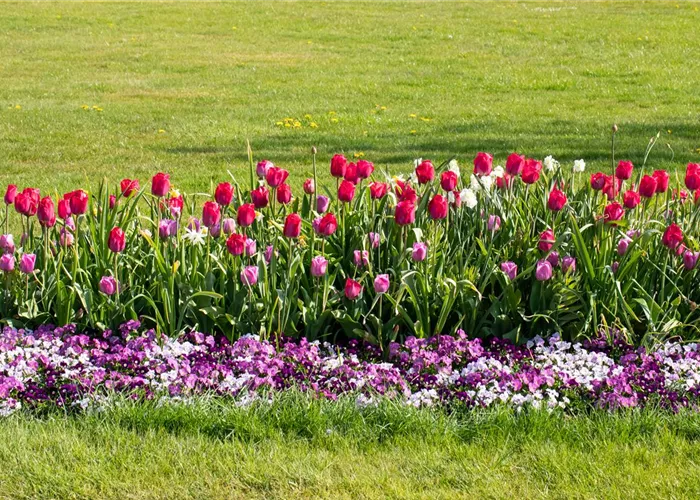 Wie ein pflegeleichter Garten gestaltet wird Wie ein pflegeleichter Garten gestaltet wird