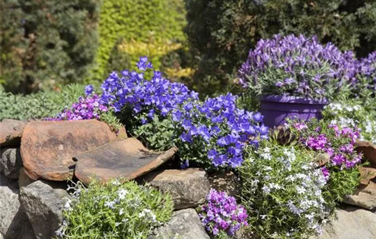 Gartenarbeiten im Mai Gartenarbeiten im Mai
