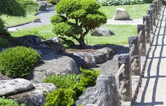 Der Feng-Shui-Garten: botanischer Einklang für die Gesundheit Der Feng-Shui-Garten: botanischer Einklang für die Gesundheit