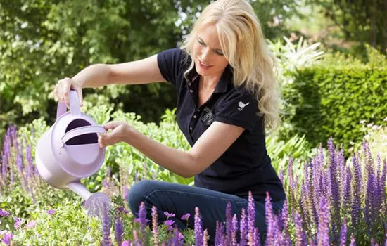 Wenn der Garten ruft: graben, lockern, schneiden  Wenn der Garten ruft: graben, lockern, schneiden